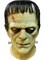 Universal Classic Monsters Frankenstein Mask Costume Accessory